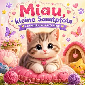 Miau, kleine Samtpfote