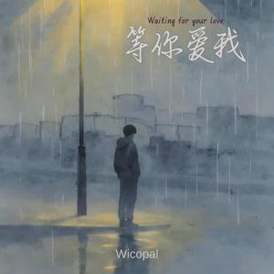 等你爱我 (Waiting for your love)