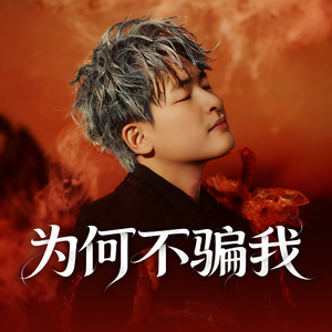 你为何不骗我