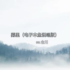 雾里（电子木鱼说唱版）