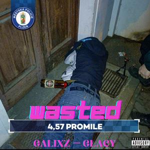 Wasted