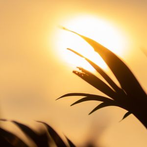 夏日晚霞（经典钢琴曲）