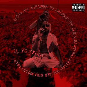 BLOOD RED STRAWBERRY FIELDS