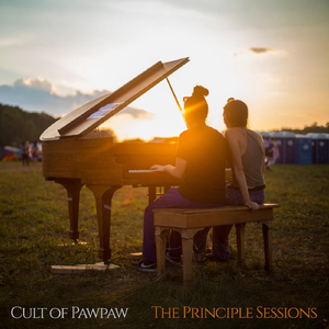 Made for Mystery (Decommodification)