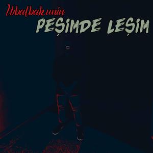 Peşimde Leşim