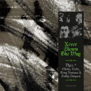 NSTW (feat. Clbrks, Verbz, Tony Bontana & Guilty Simpson)