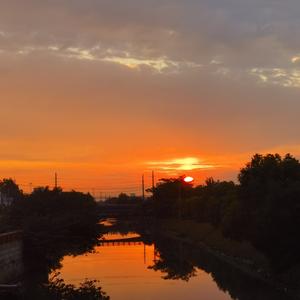 《四叶草和风的故事》