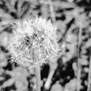 At a Depth