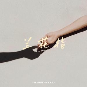 兰花指 - R&B深情男版