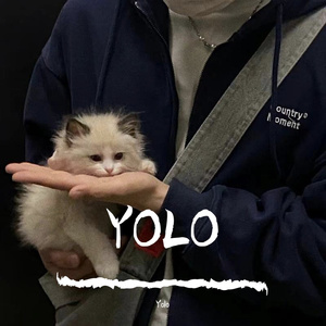 YOLO