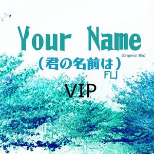 Your Name（君の名前は）VIP