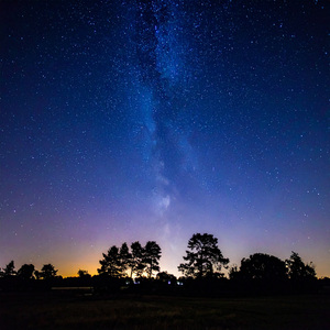 Ritmos De Lofi Para Calmar Una Mente En Silencio