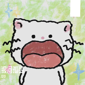 半知半解