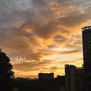 一个人的暗恋告白