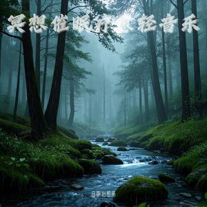 海浪声｜催眠曲