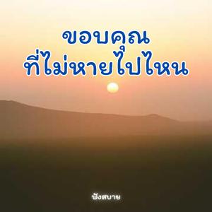 ขอบคุณที่ไม่หายไปไหน