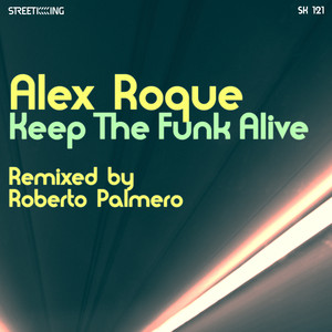 Keep The Funk Alive (Roberto Palmero Remix)