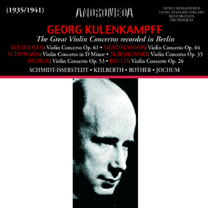 Violin Concerto in D Major, Op. 35:I. Allegro moderato