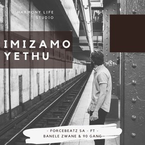 Imizamo Yethu