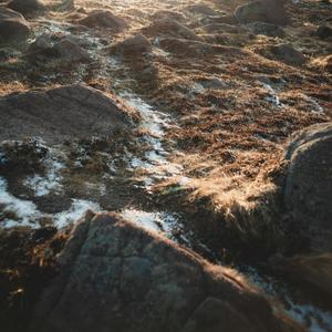 Tundra