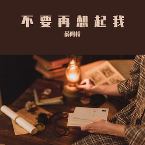 不要再想起我