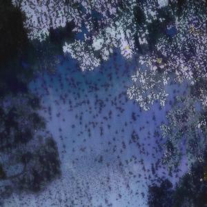 i ****ing hated middle school me