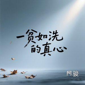 一贫如洗的真心