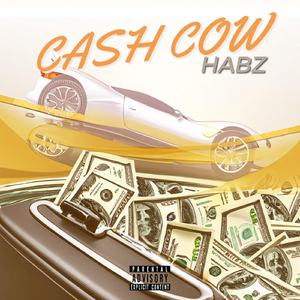 Cash Cow