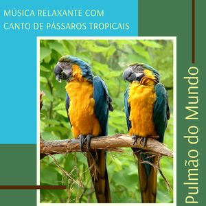 Contra Desmatamento da Amazônia