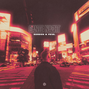 Ganze Nacht (with feva.)