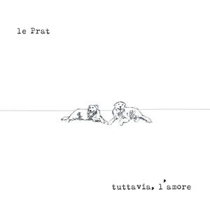 Fenomenologia dell'incomprensione