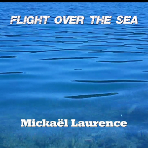 Flight over the Sea