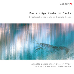 Sonata No. 4 in D Major, Krebs-WV 835:I. Allegro