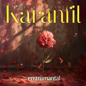 Karanfil (Ney & Bağlama)