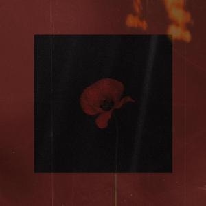 Espirales, labios, repeticiones