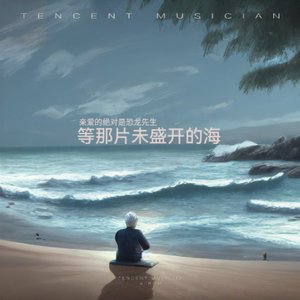 等那片未盛开的海