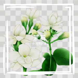 茉莉 伴奏