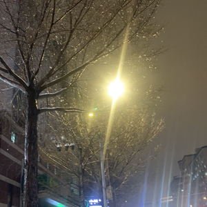 去北极忘记你