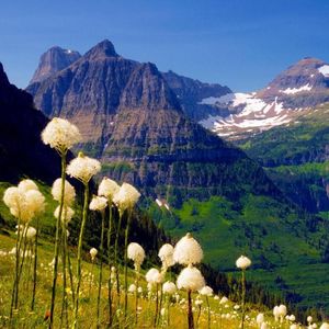 就让我忘了曾经的那个人