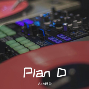 Plan D