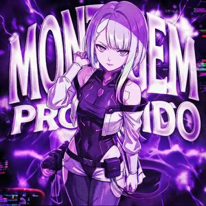 MONTAGEM PROHIBIDO