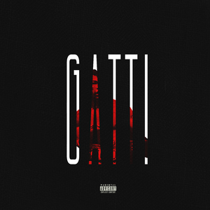 Gatti
