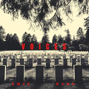 Voices (Instrumental)