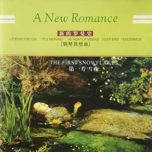 The First Sonwflakes