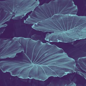 精彩在家冥想环境