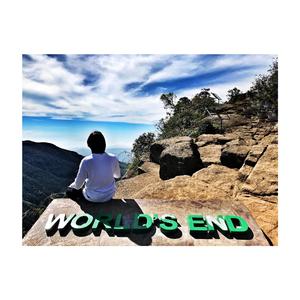 世界尽头·2020（完）3