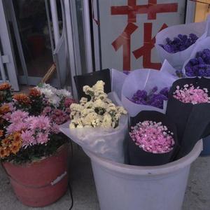 需要花（prod by LRUI17)