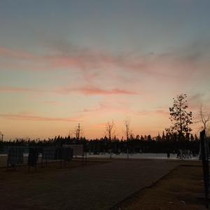 多情种（cover：要不要买菜）