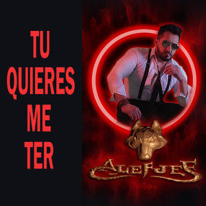 Tu Quieres Me Ter