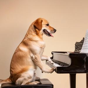 Keith Jarrett - The Köln Concert (Part I)